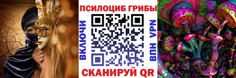 Купить  Красково  Галлюциногенные грибы мицелий 